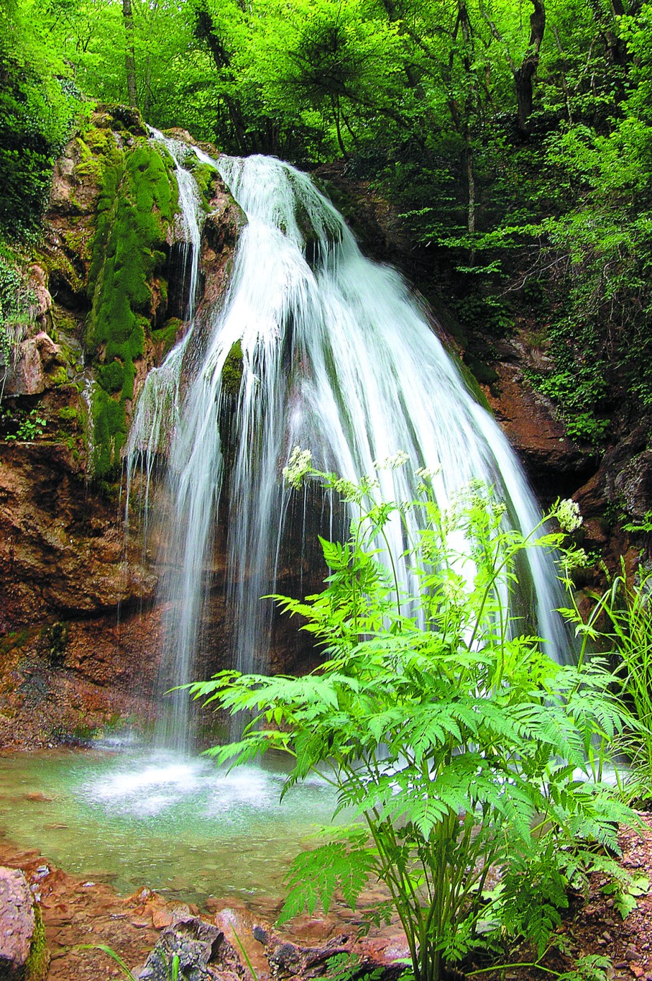 Александр Кустовский