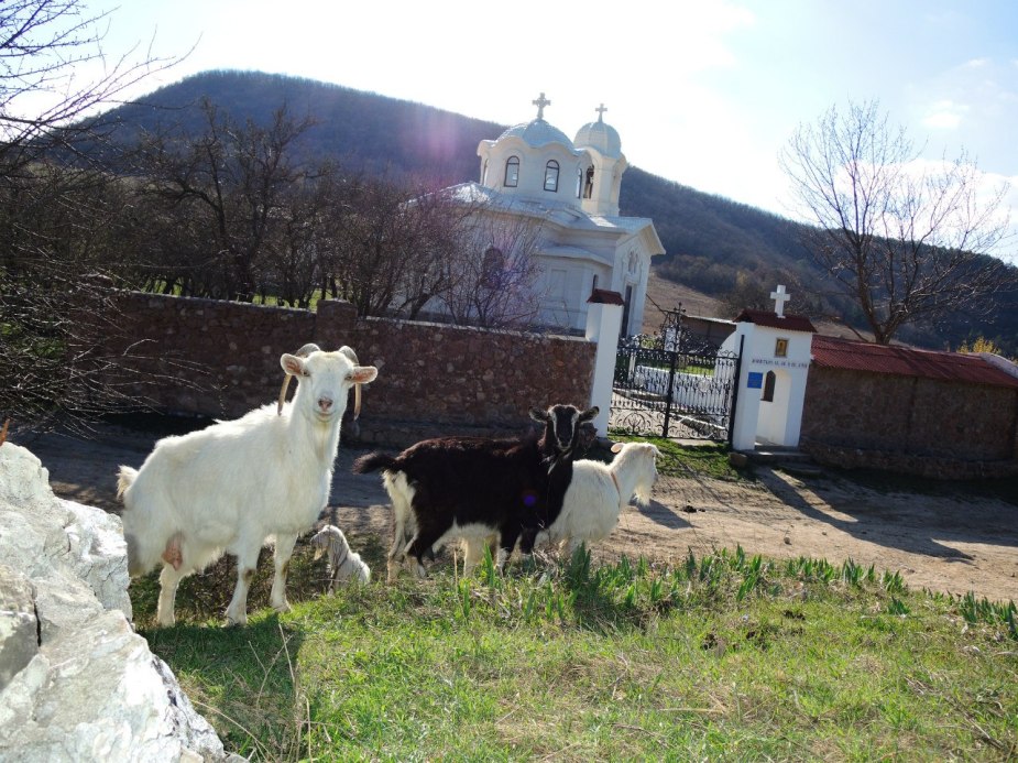Возвышается небольшой белоснежный храм.